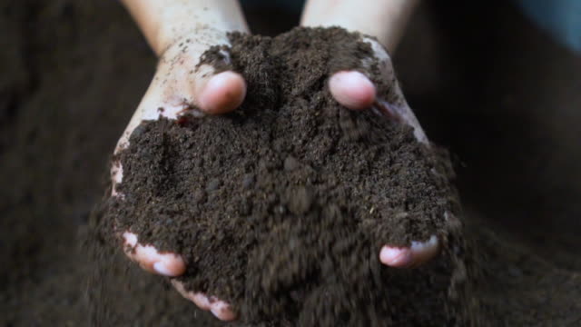 Farmer hands holding and pouring black soil
