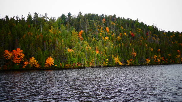 istock Trees with autumn foliage at the water's edge 1057016584