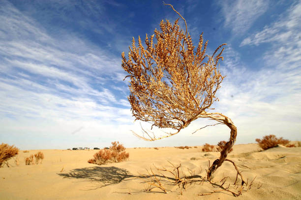 istock Taklamakan Desert, China 1057016694