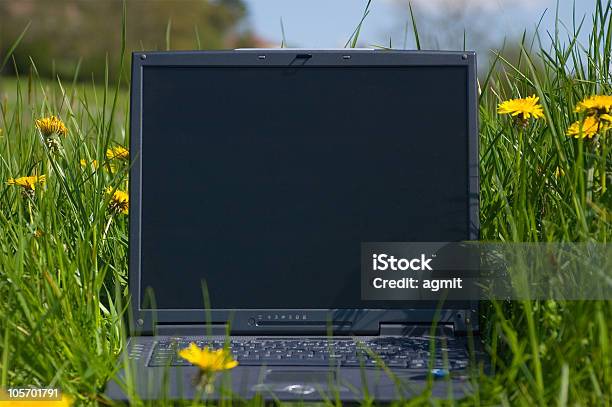 Laptop In The Grass Stock Photo - Download Image Now - Agricultural Field, Agriculture, Black Color