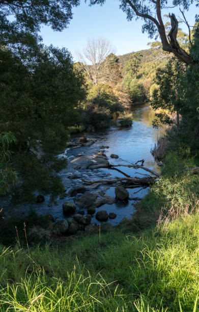 The Yarra River near Melbourne - sunny warm weather and blue sky The Yarra River near Melbourne - sunny warm weather and blue sky bush land natural phenomenon environmental conservation stone stock pictures, royalty-free photos & images