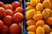 tomatoes & lemons at the market