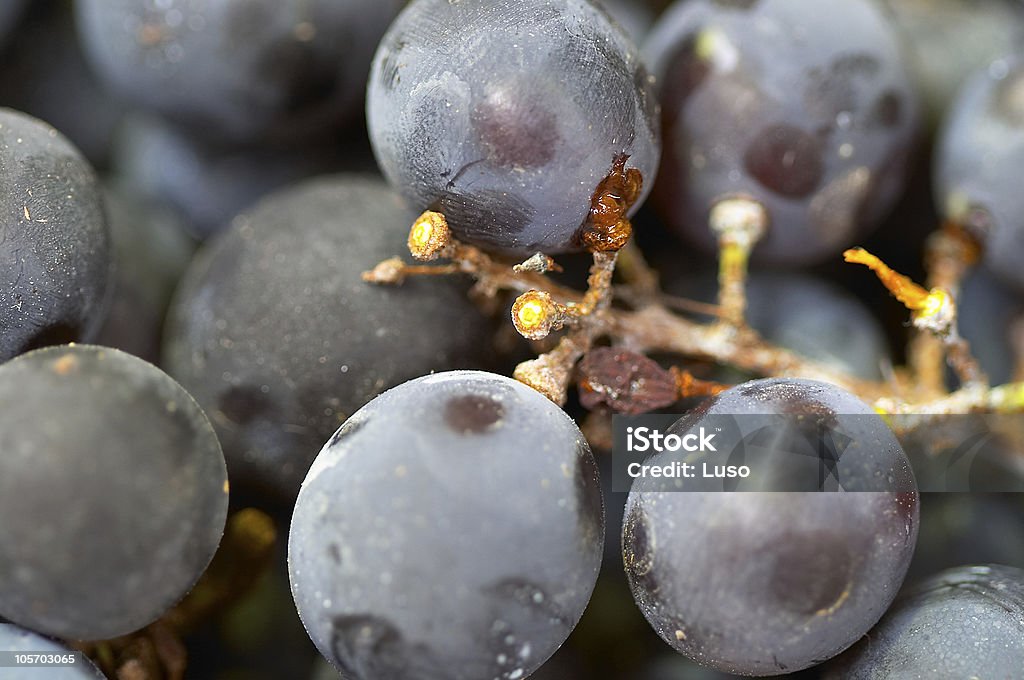 Uvas - Royalty-free Colher - Atividade Agrícola Foto de stock