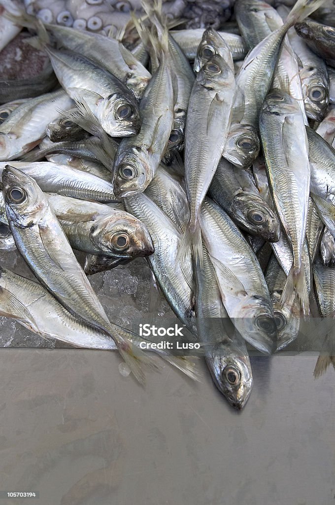 fishes para la venta en el mercado - Foto de stock de Color - Tipo de imagen libre de derechos