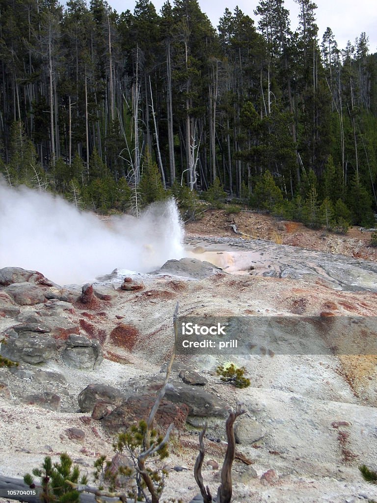 geyser al Parco Nazionale di Yellowstone - Foto stock royalty-free di Acqua