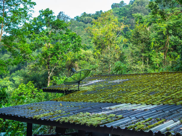 istock Satellite on the roof in the jungle 1057040842