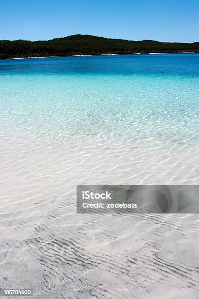 マッケンジーフレーザー島の淡水湖でオーストラリア - オーストラリアのストックフォトや画像を多数ご用意 - オーストラリア, カラー画像, クイーンズランド州
