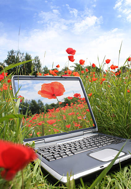 eco tecnología - flower red poppy sky fotografías e imágenes de stock