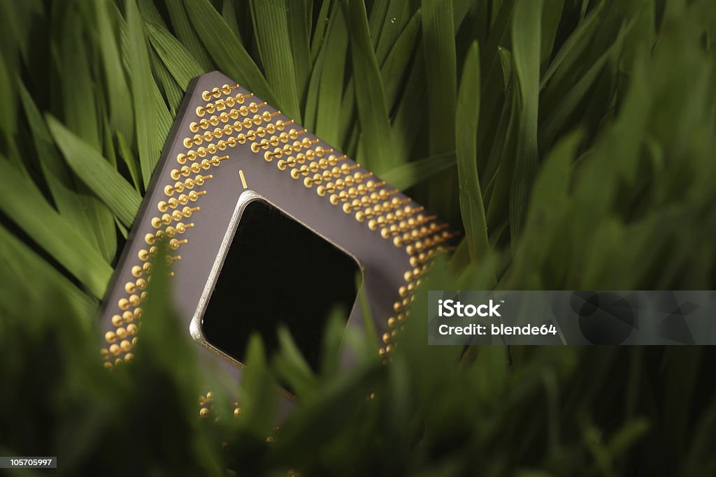 cpu in a green meadow  Backgrounds Stock Photo