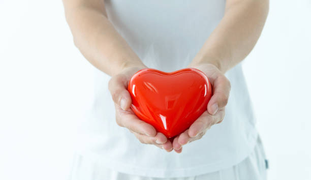 istock Woman hands holding red heart 1057067454