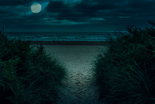 Footpath to the beach at night