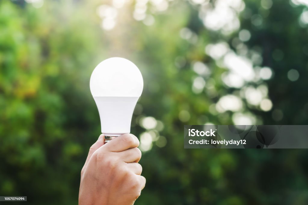 main tenant l’ampoule led sur fond de verdure et de soleil. eco concept - Photo de Lampe LED libre de droits