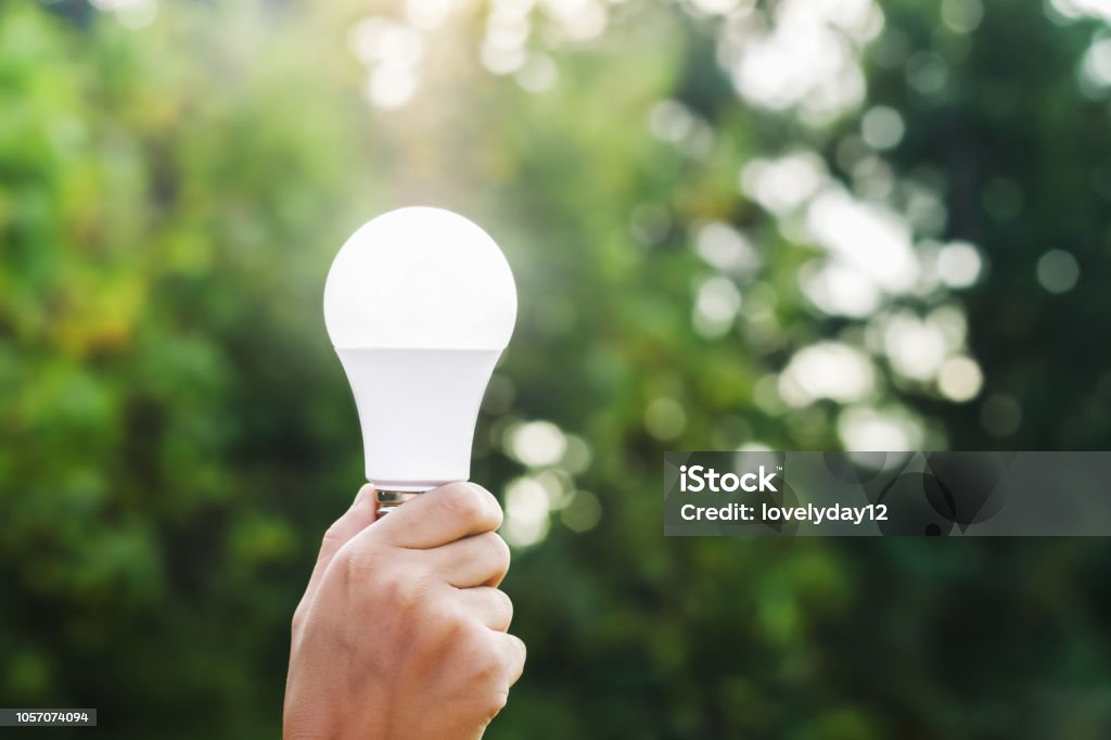 hand holding led bulb  on green nature background and sunshine. concept eco LED Light Stock Photo