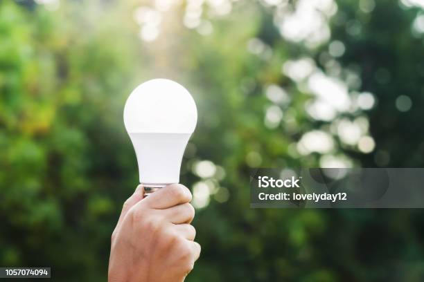 Hand Holding Led Bulb On Green Nature Background And Sunshine Concept Eco Stock Photo - Download Image Now