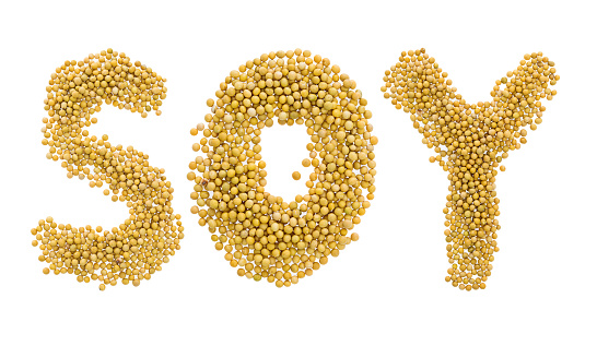 The word 'soy' made with soy beans.