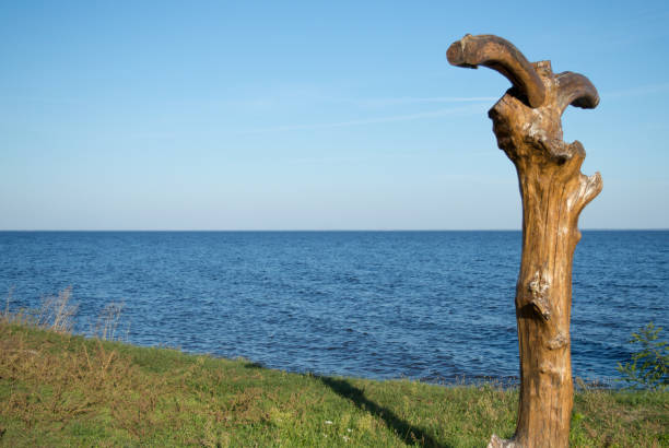 Wood column on seashore of Kyiv Sea