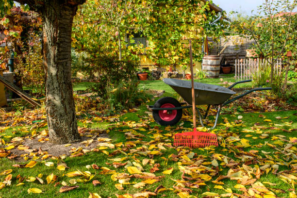 autunno - carriola foto e immagini stock