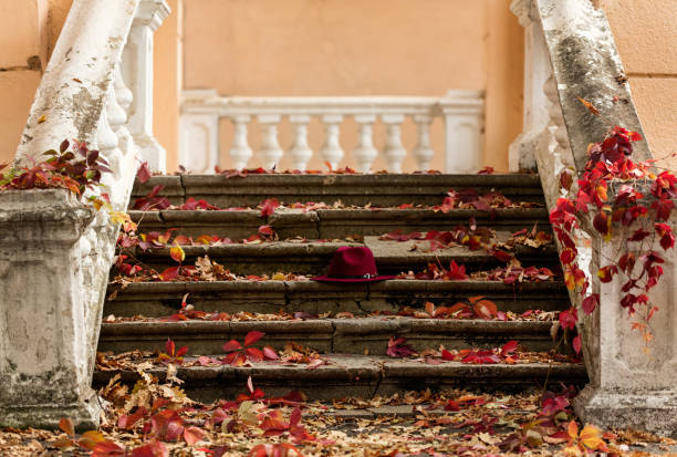 Autumn leaf fall. Red and yellow leaves on the destroyed old stone steps burgundy (marsala color) hat. Blur effect.