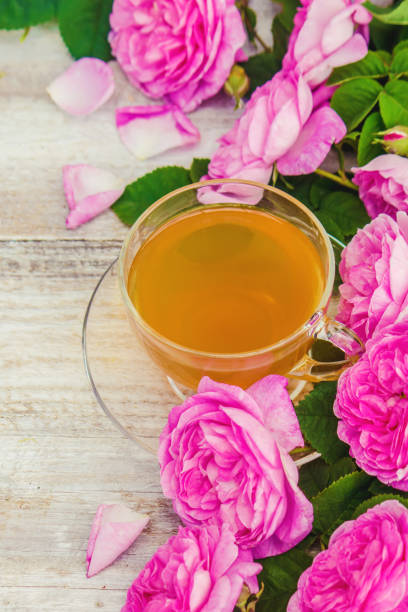 чай, чай роза, роза, селективный фокус. природа. - tea rose tea crop scented стоковые фото и изображения