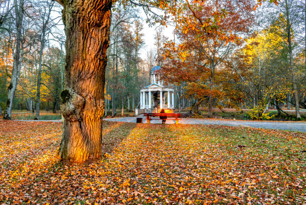 istock Abandoned ancient stone pergola in old botanical park, EC 1057100366