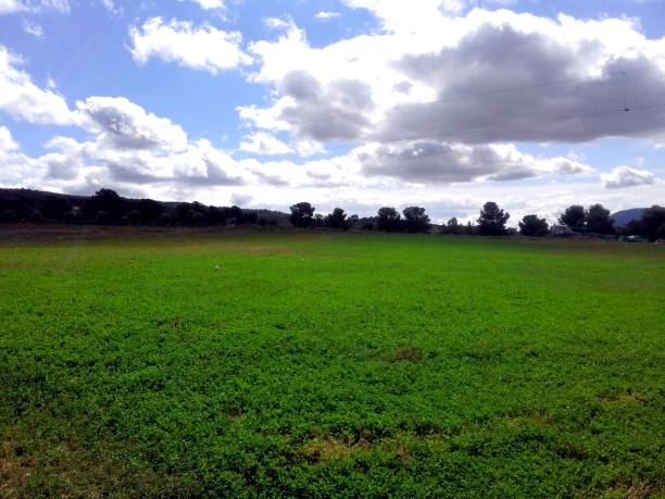 istock Green meadow and blue and cloudy sky 1057104686