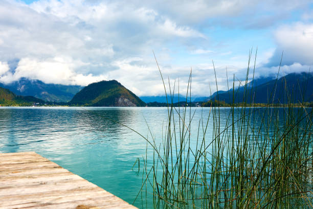 lago wolfgagsee in austria vicino a salisburgo con molo ed erba d'acqua, con montagne sullo sfondo sotto il cielo blu con nuvole - wolfgangsee foto e immagini stock