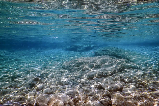 istock Sea Life Underwater rocks Sunlight, Underwater Life. 1057113352