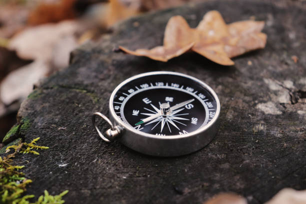 istock compass pointing north lies on a stump in the forest 1057115712