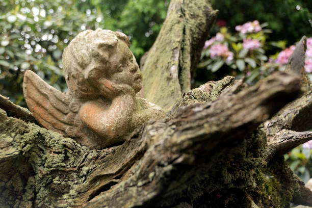 istock angel, figurine, tree trunk, garden 1057120632