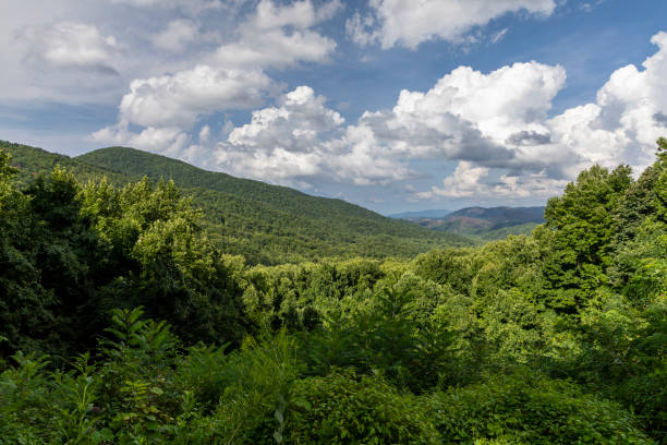 istock Smoky Mountains Scenic Landscape 1057121022
