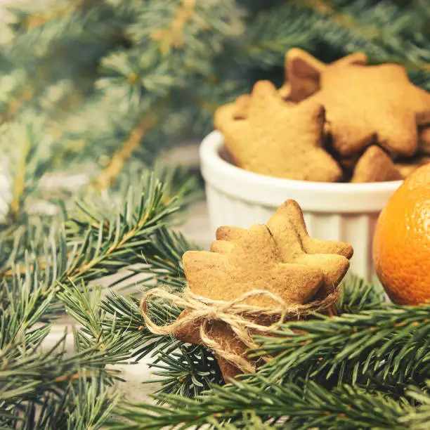 Gingerbread Cookie. Small stars. Delicious tangerine. Fir branch. NewYear.