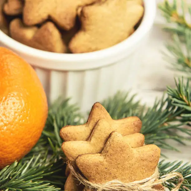 Gingerbread Cookie. Small stars. Delicious tangerine. NewYear. Fir branch.