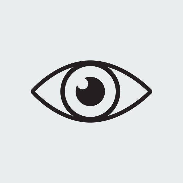 VISION ICON VISION ICON eyeball stock illustrations