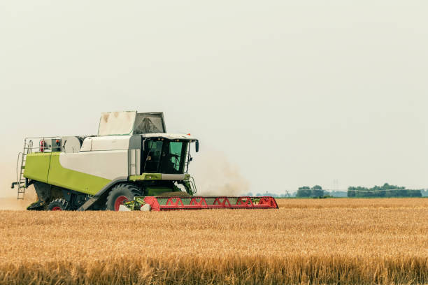 istock Combine harvester working on a wheat field. Harvesting wheat. 1057134546