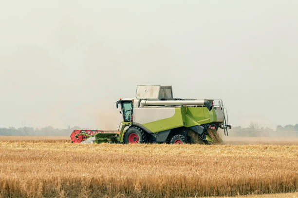 istock Combine harvester working on a wheat field. Harvesting wheat. 1057134598