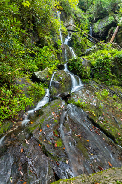 istock Waterfall In The Smoky Mountains 1057134930
