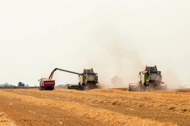 istock Combine harvester working on a wheat field. Harvesting wheat. 1057136392