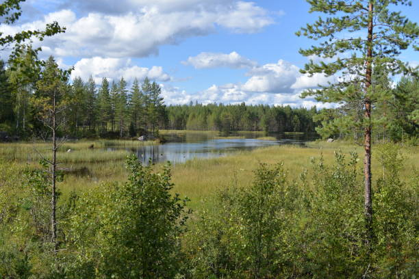 istock Norwegian landscape with a lake 1057136474