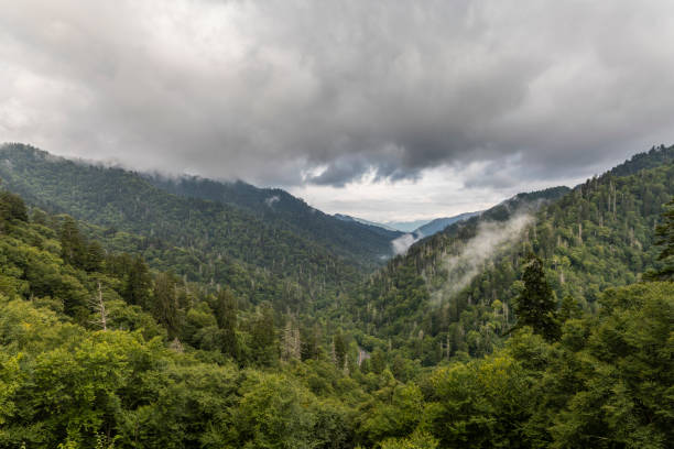 istock Smoky Mountains Scenic Landscape 1057139278