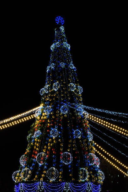 istock Christmas tree and christmas lights against black night sky 1057141054