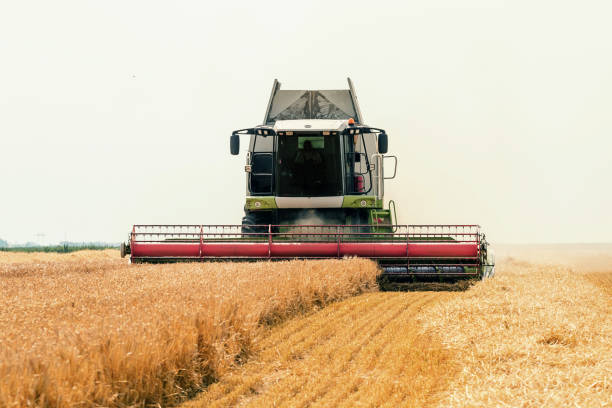 istock Combine harvester working on a wheat field. Harvesting wheat. 1057141236