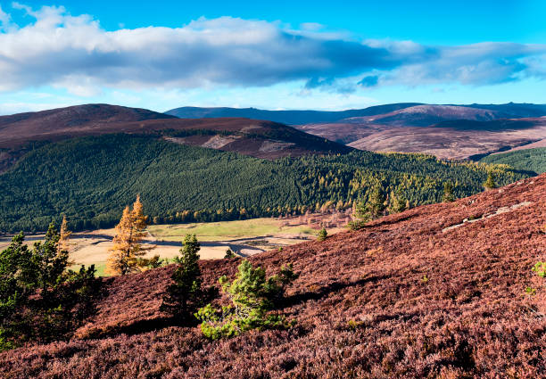 istock Cairngorms from Braemar, Scotland 1057144036