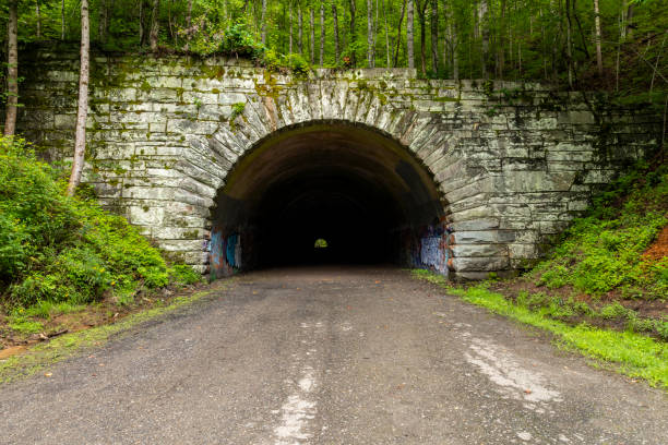 A tunnel on an abandoned highway project in the Smoky Mountains.