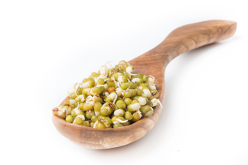 Sprouted grains in wooden spoon on white background.