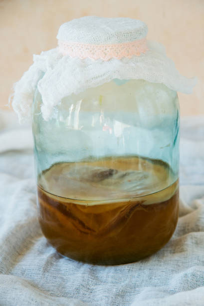 istock Tea mushroom, Kombucha in a glass jar. 1057146856