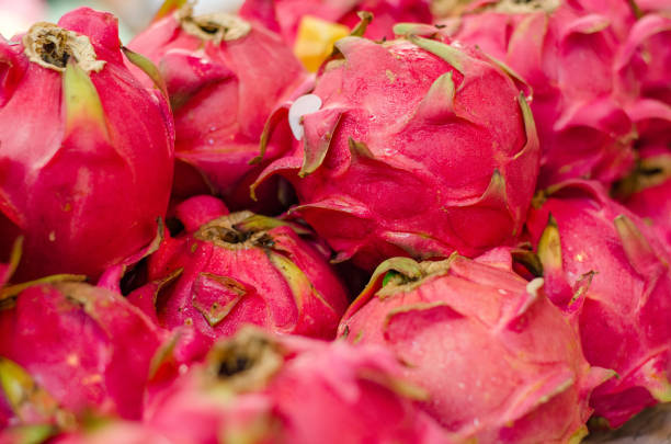 istock Exotic tropical fruit, dragon fruit or pitaya display for sell in market. 1057149750