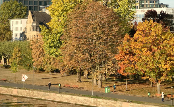 istock Autumn impressions from Frankfurt am Main 1057159374