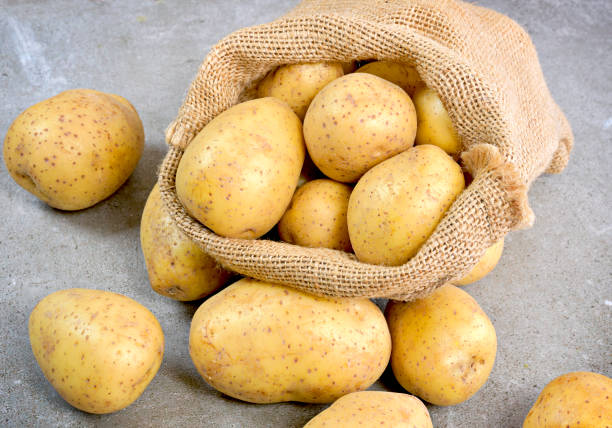 istock Fresh raw potatoes in a burlap sack 1057160978