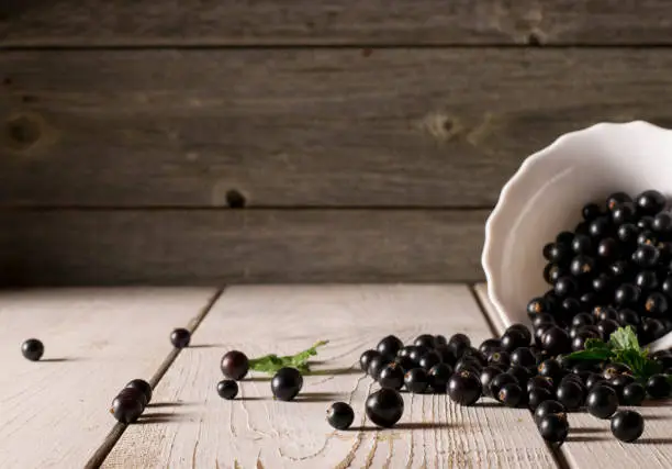 Black currant on wooden table with leaf sprig