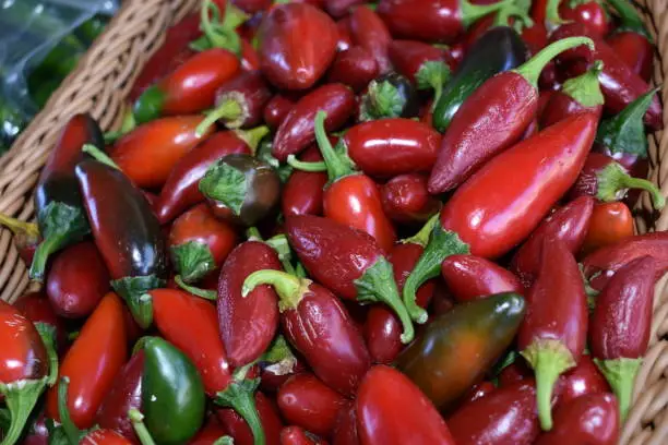 Red Chili Peppers at Local Farmers Market